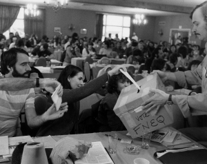 1981-11 FNEEQ vote-grey.png
